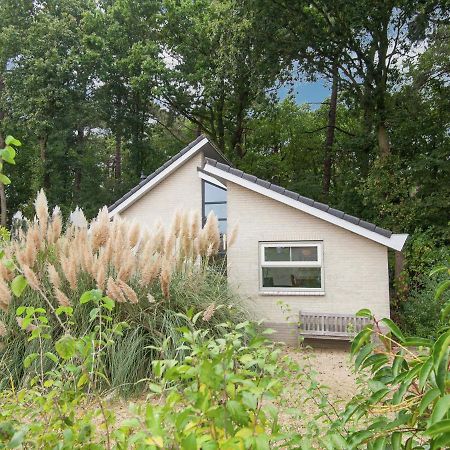 Elite Holiday Home In North Holland Near Forest Schoorl Ngoại thất bức ảnh